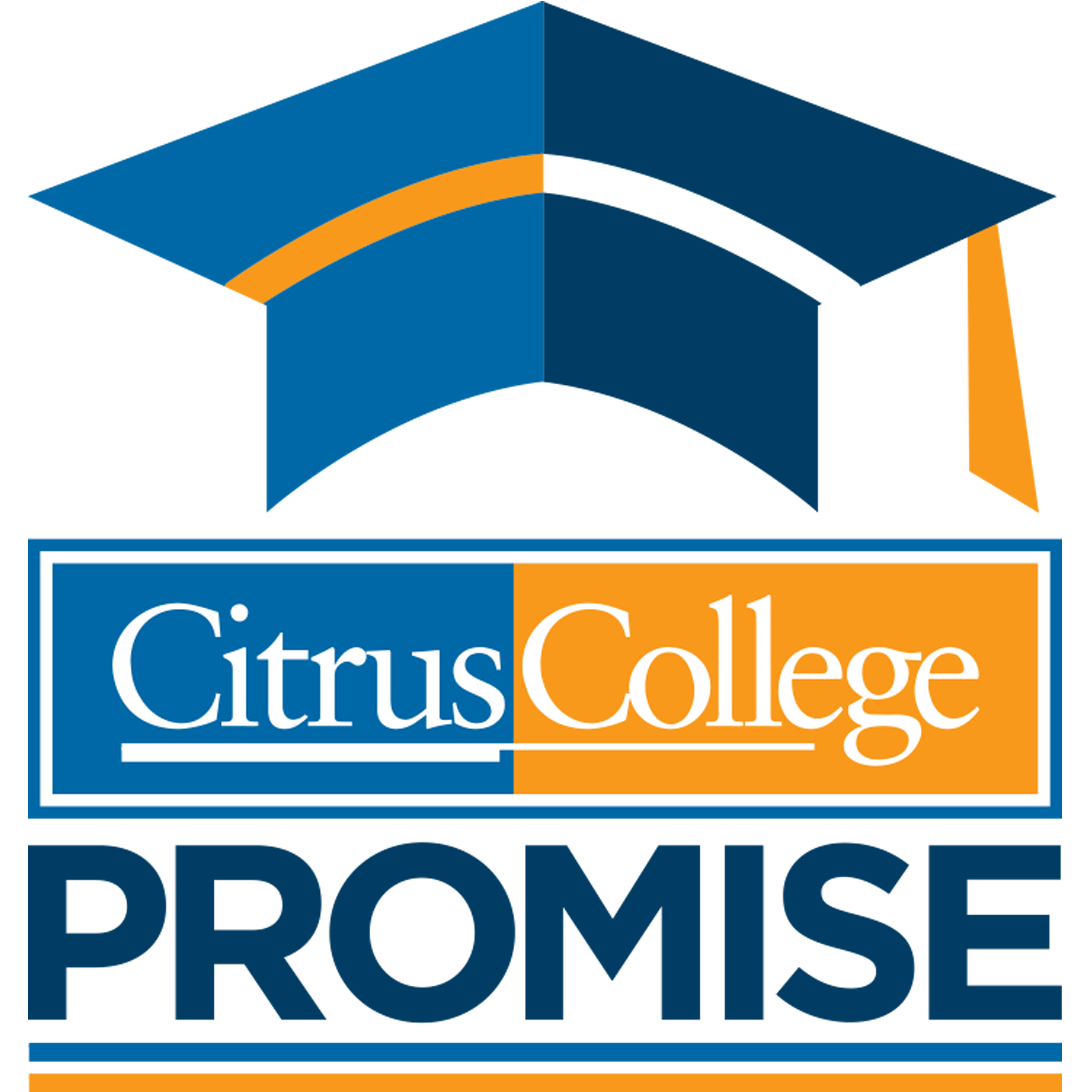 Promise_Logo.png